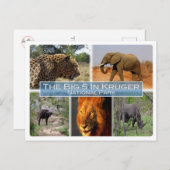 ZA Südafrika - Die 5 großen in Krugen n.P. - Postkarte (Vorne/Hinten)