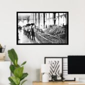 Zacatecas, Mexico Food Market 1904 Poster (Heimbüro)