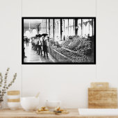 Zacatecas, Mexico Food Market 1904 Poster (Küche)