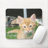 Zaccheus das Kätzchen Mousepad (Mit Mouse)