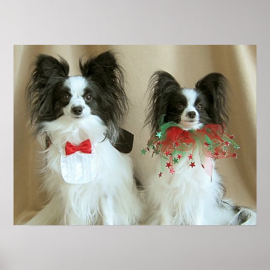 ZACH nab CLAIRE Poster (Vorne)