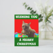 Zack die Weihnachtskatze Feiertagspostkarte (Stehend Vorderseite)