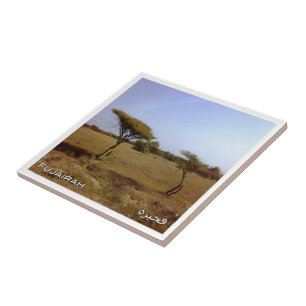 zAE033 FUJAIRAH Nature, VAE, Asien, Fliese