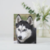 zäh postkarte (Stehend Vorderseite)