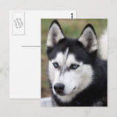 zäh postkarte (Vorne/Hinten)