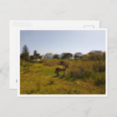 Zahara de los Atunes (Spanien) Postkarte (Vorne/Hinten)