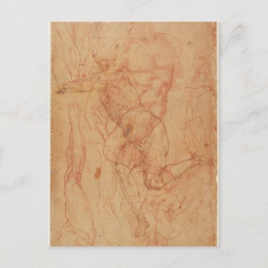 Zahl Studie Postkarte (Vorderseite)