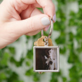 Zahl von einem Amazonas Schlüsselanhänger (Hand)