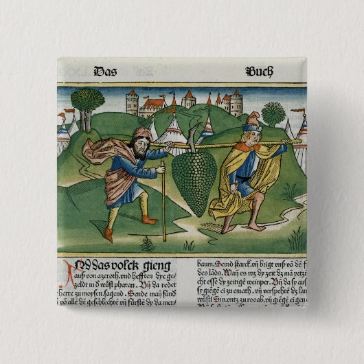 Zahlen 13 23 die Trauben von Eschol, vom 'Nure Button (Vorderseite)