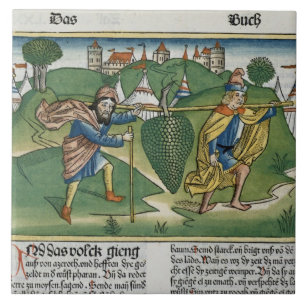 Zahlen 13 23 die Trauben von Eschol, vom 'Nure Fliese