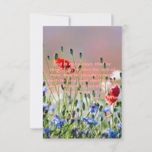 Zahlen 23:19 KJV Bible Verse Pic Flat Begrüßung Karte (Vorderseite)