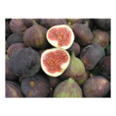 Zahlen Fotodruck (Vorne)