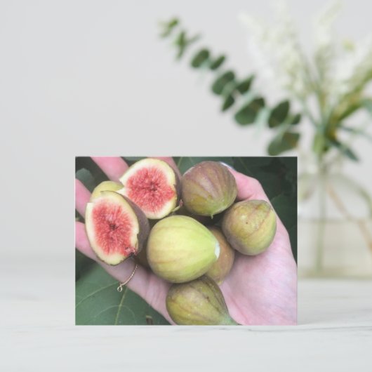 Zahlen Postkarte (Stehend Vorderseite)