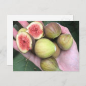 Zahlen Postkarte (Vorne/Hinten)