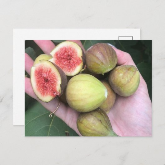 Zahlen Postkarte (Vorne/Hinten)