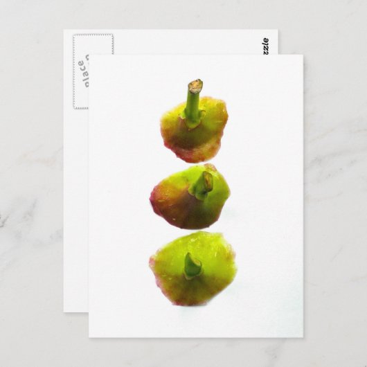 Zahlen Postkarte (Vorne/Hinten)