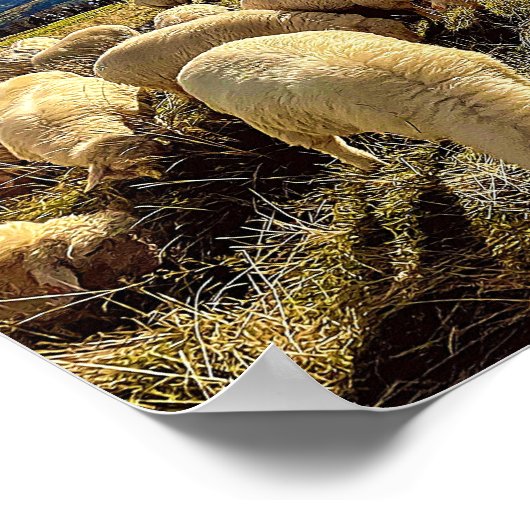 Zählen von Schafen Poster (Ecke)