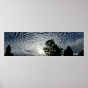 Zählung der Schafe Poster