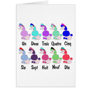 Zählung des französischen Pudels