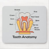 Zahn-Anatomie-Diagramm Mousepad (Vorne)