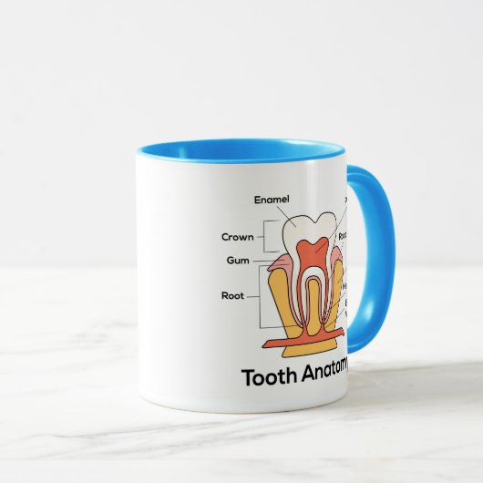 Zahn-Anatomie-Diagramm Tasse (VorderseiteRechts)