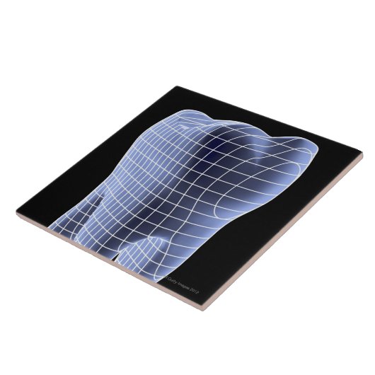 Zahn, Computergrafik eines molaren Zahnes Fliese (Seite)