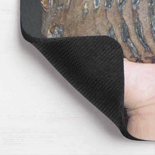 Zahn, Mammutzahn Mousepad (Ecke)