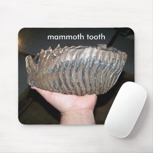 Zahn, Mammutzahn Mousepad (Mit Mouse)