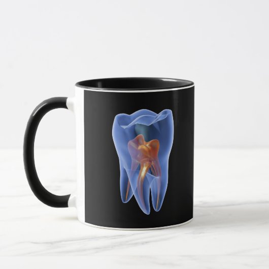 Zahn, transparenter Querschnitt eines Molars Tasse (Links)