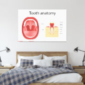 Zahnanatomie Leinwanddruck (Insitu (Schlafzimmer))