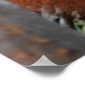 Zahnarztärztin für Kinder mit Tooth-Pflege Poster (Ecke)