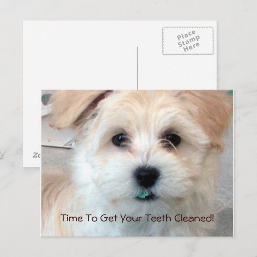 Zahnärztliche Erinnerung Postkarte (Vorne/Hinten)