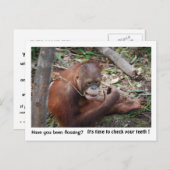 Zahnärztliche Erinnerung Postkarte (Vorne/Hinten)