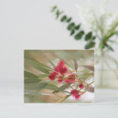 Zahnblüten Postkarte (Stehend Vorderseite)