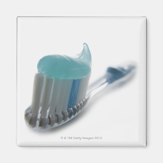 Zahnbürste Magnet (Vorne)