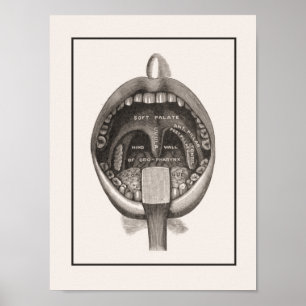 Zahnbürste-Wandplakat Poster