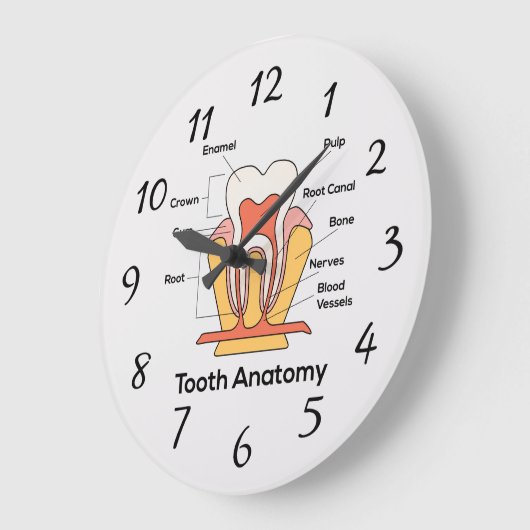 Zahndiagramm Große Wanduhr (Winkel)