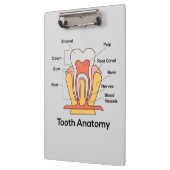 Zahndiagramm Klemmbrett (Links)