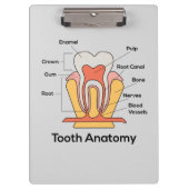 Zahndiagramm Klemmbrett (Vorderseite)