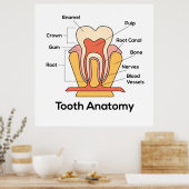 Zahndiagramm Poster (Küche)