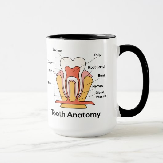 Zahndiagramm Tasse (Rechts)