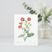 Zahnfleischkineum Postkarte (Stehend Vorderseite)