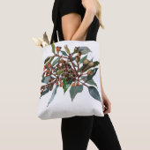 Zahnfleischtasche Tasche (Von Nahem)