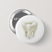 Zahnillustration Button (Vorne & Hinten)