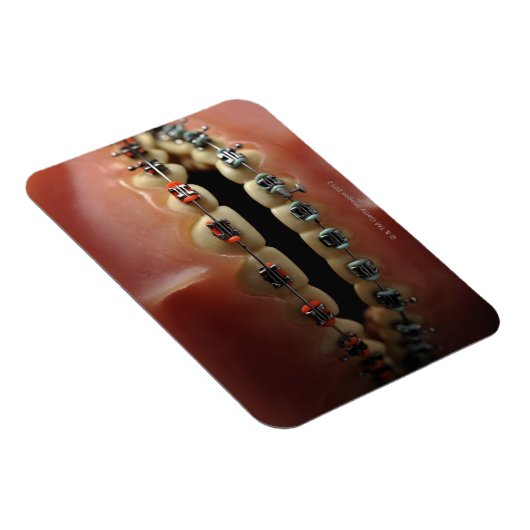 Zahnmodell und Zähne Magnet (Rechte Seite)