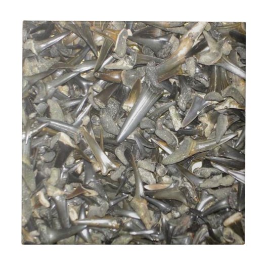 Zahnmuster für Fossilien Fliese (Vorderseite)