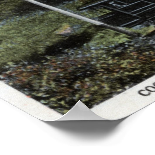 Zahnradbahn hoch poster (Ecke)