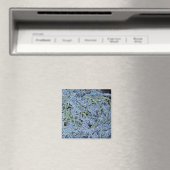 Zahnschild, farbiges Rasterelektronenelement Magnet (In Situ (Geschirrspüler))
