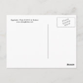 Zahnspange Postkarte (Rückseite)