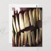 Zahnzähne Postkarte (Vorne/Hinten)